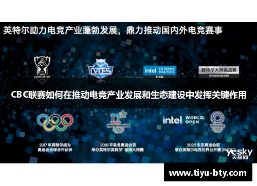CBC联赛如何在推动电竞产业发展和生态建设中发挥关键作用