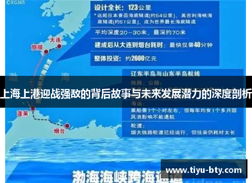 上海上港迎战强敌的背后故事与未来发展潜力的深度剖析