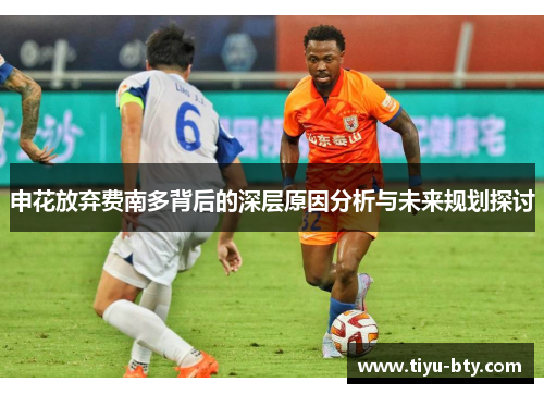 申花放弃费南多背后的深层原因分析与未来规划探讨