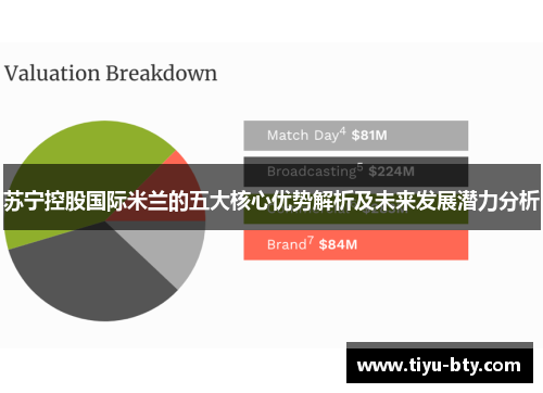 苏宁控股国际米兰的五大核心优势解析及未来发展潜力分析