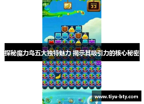 探秘魔力鸟五大独特魅力 揭示其吸引力的核心秘密
