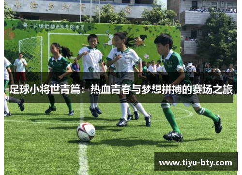 足球小将世青篇：热血青春与梦想拼搏的赛场之旅