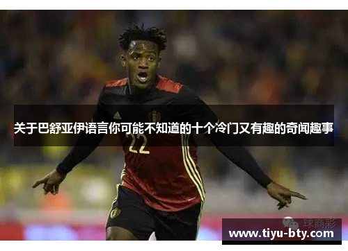 关于巴舒亚伊语言你可能不知道的十个冷门又有趣的奇闻趣事 关于巴舒亚伊语言你可能不知道的十个冷门又有趣的奇闻趣事