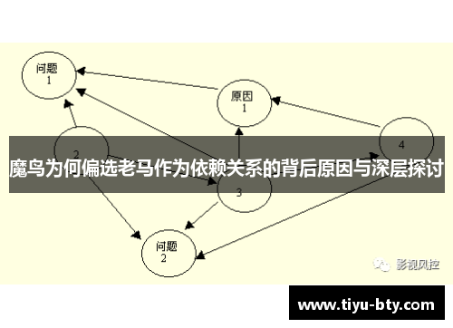 魔鸟为何偏选老马作为依赖关系的背后原因与深层探讨